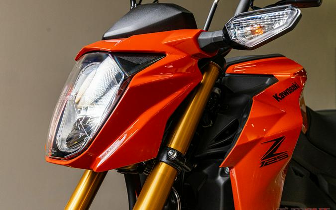 2025 Kawasaki Z125 PRO