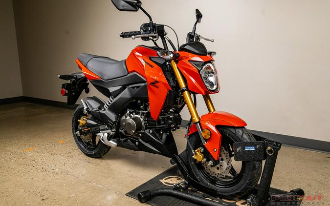 2025 Kawasaki Z125 PRO