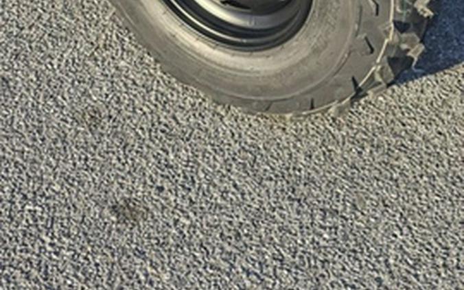 2026 Honda FourTrax Foreman 4X4 Truetimber Atera Camo