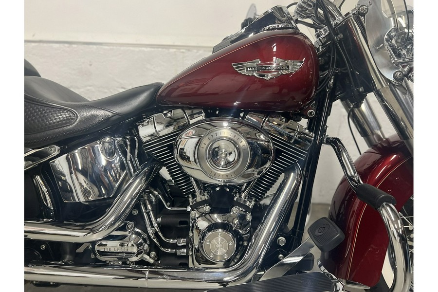 2010 Harley-Davidson® FLSTN