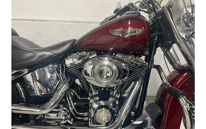 2010 Harley-Davidson® FLSTN