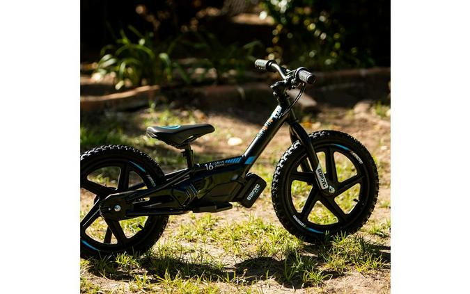 2026 STACYC 16eDrive Brushless - STACYC