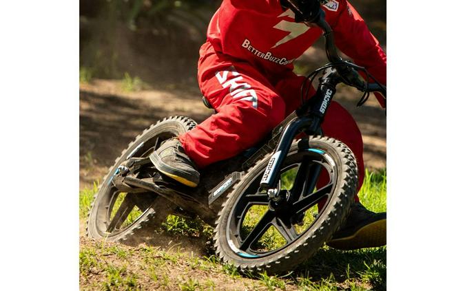 2026 STACYC 16eDrive Brushless - STACYC