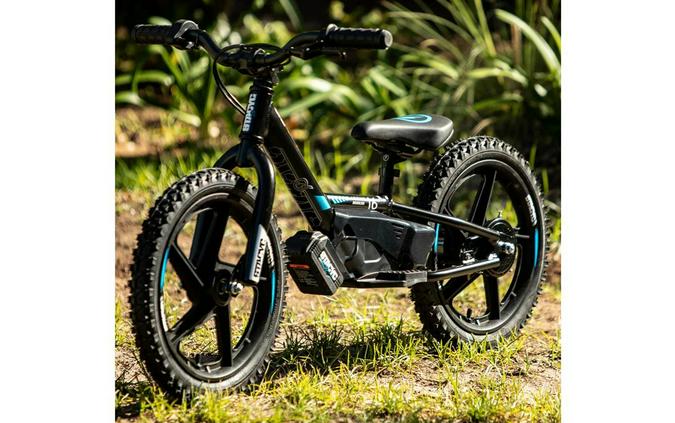 2026 STACYC 16eDrive Brushless - STACYC
