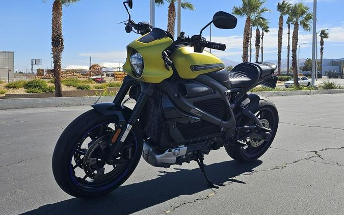2020 Harley-Davidson® ELW - LiveWire™