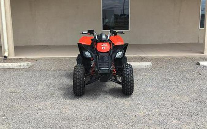 2023 Can-Am DS 250