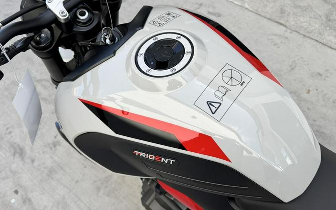 2026 Triumph Trident 800 Ash grey
