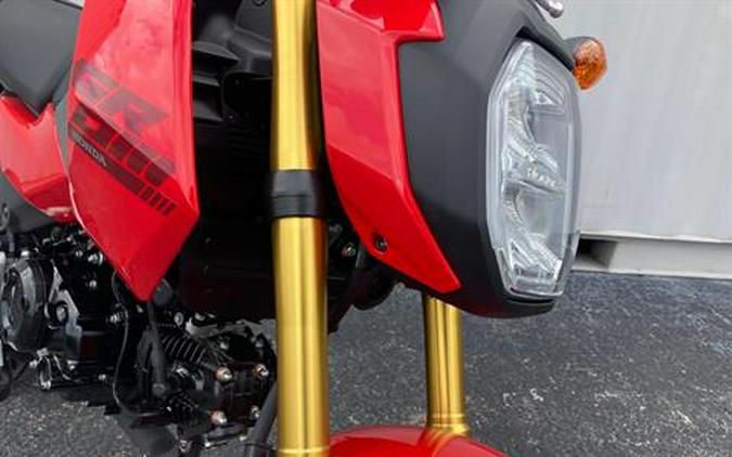 2025 Honda Grom