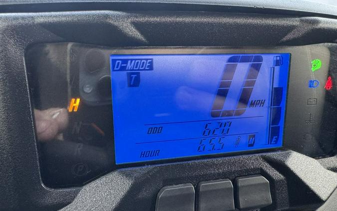 2024 Yamaha Wolverine RMAX2 1000 Limited Edition