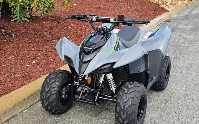 2024 Kawasaki KFX50