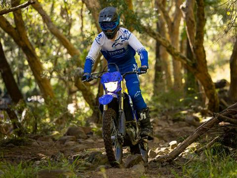 2025 Yamaha WR450F