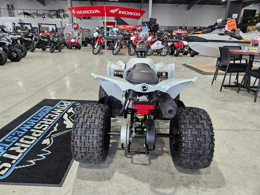 2026 Can-Am Renegade 110 EFI