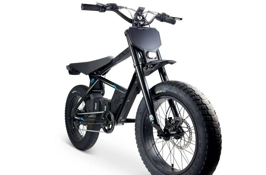 2026 STACYC 20Hdrive Class 2 - Black - STACYC
