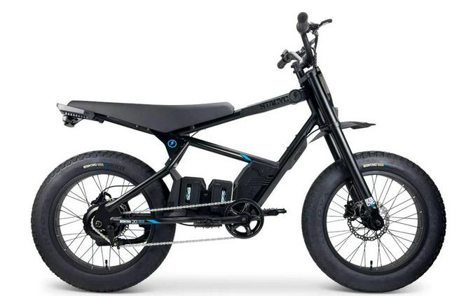2026 STACYC 20Hdrive Class 2 - Black - STACYC