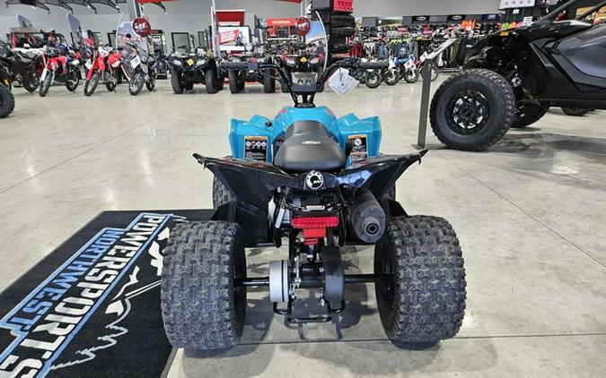 2026 Can-Am Renegade 110 EFI