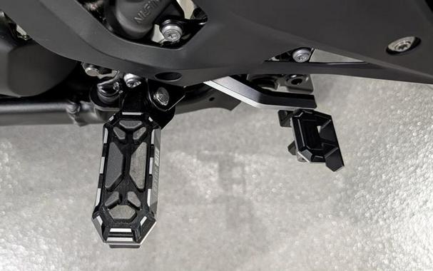 2026 BMW R 1300 GS Option 719