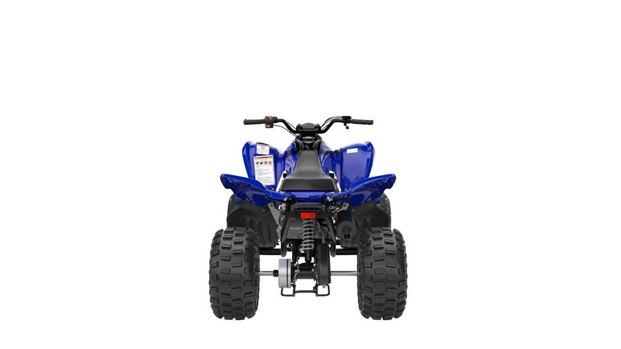 2024 Yamaha [Off-Site Inventory] Raptor 110