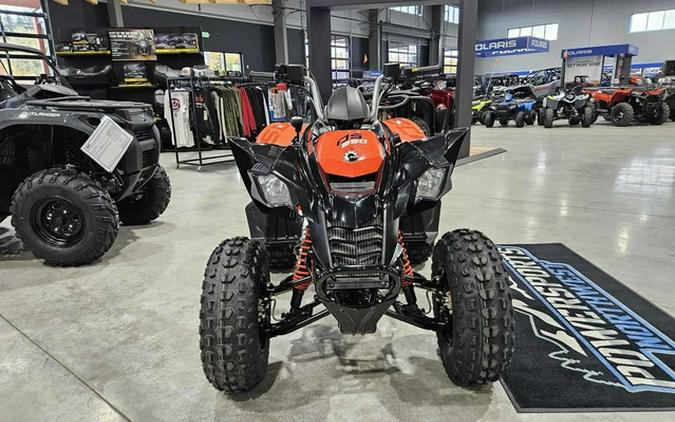 2026 Can-Am DS 250
