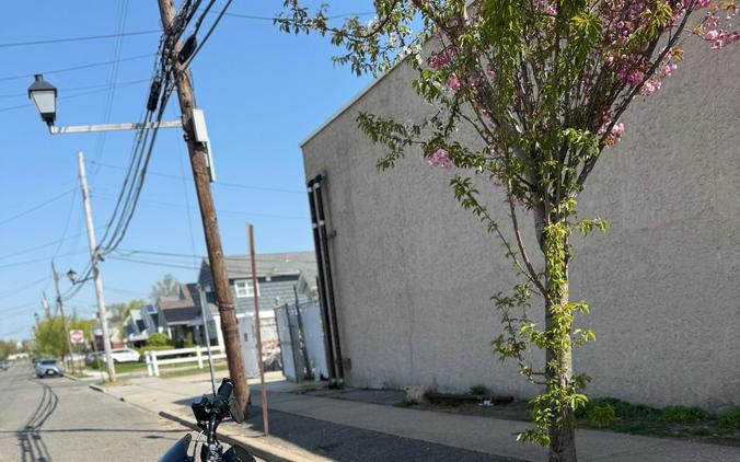 2025 Indian Sport Scout® Limited +Tech