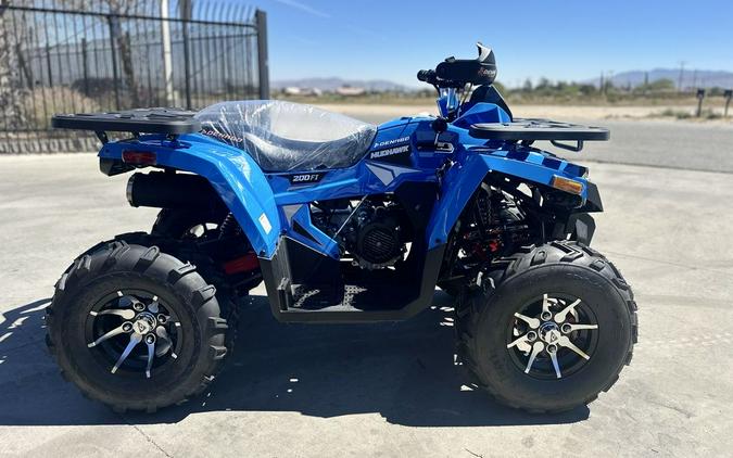 2026 Denago Powersports Mudhawk 200 FI