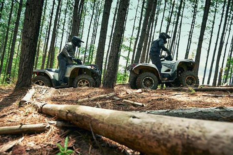 2020 Yamaha Grizzly EPS SE