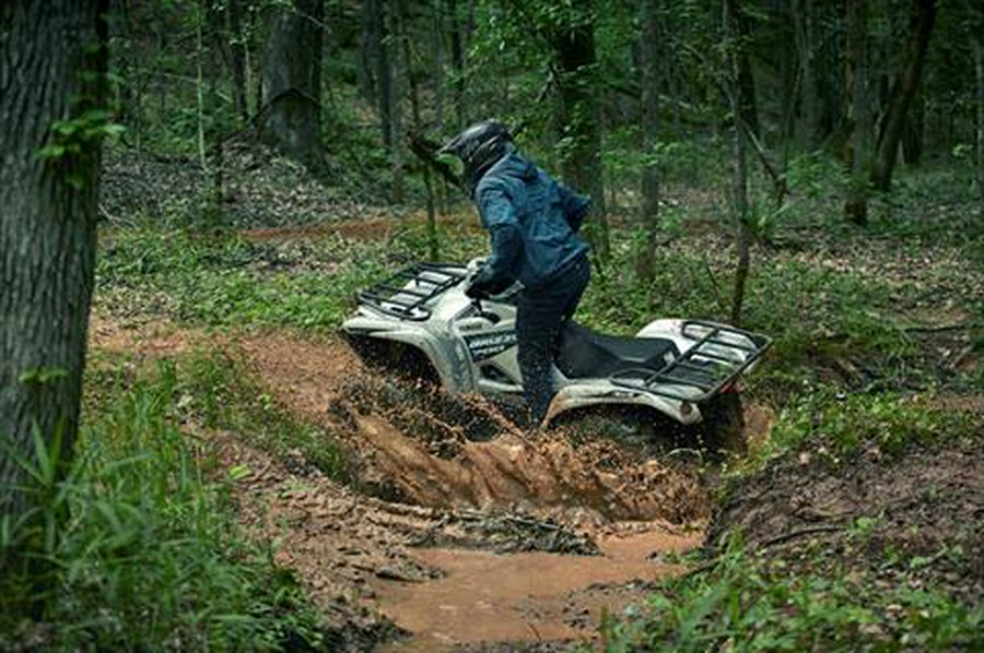 2020 Yamaha Grizzly EPS SE