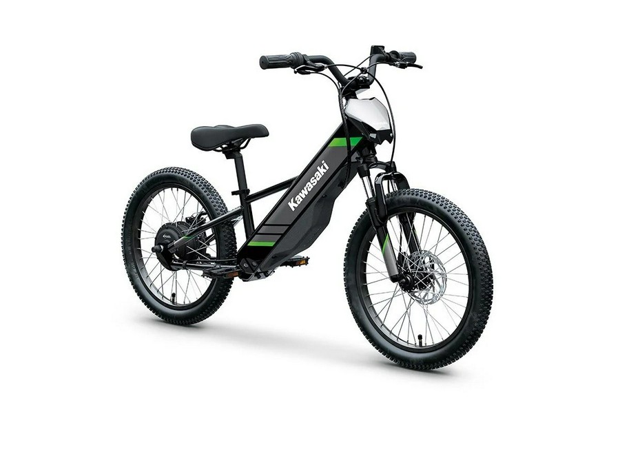 2025 Kawasaki Elektrode 20 - Black