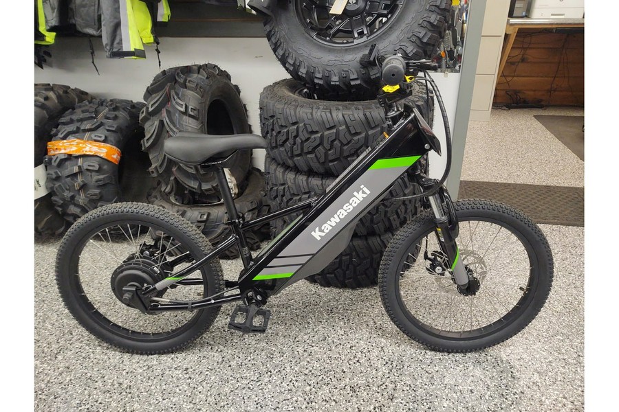 2025 Kawasaki Elektrode 20 - Black