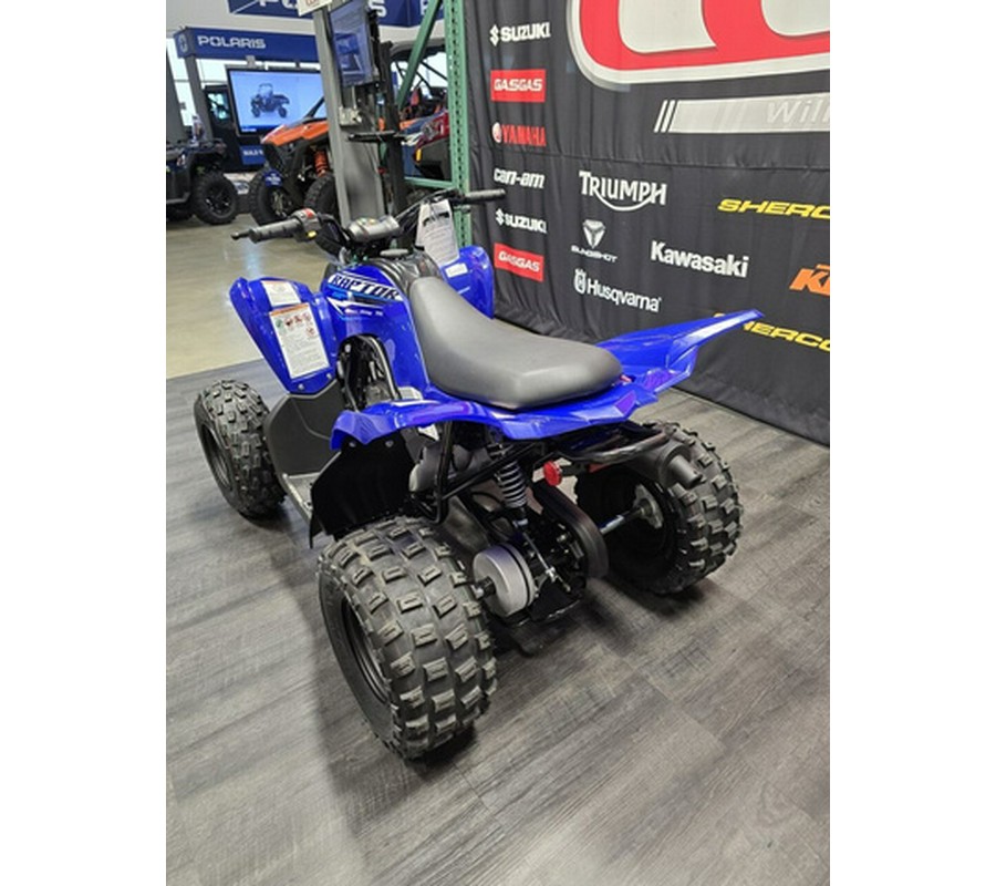 2026 Yamaha Raptor 110