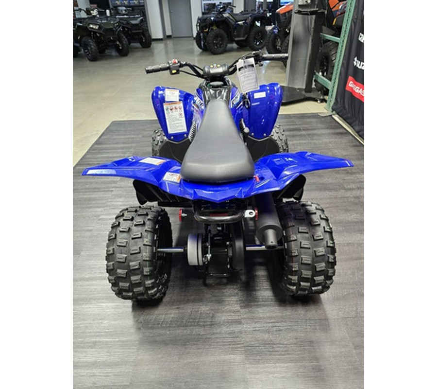 2026 Yamaha Raptor 110