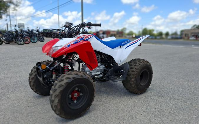 TRX250XT 2026 TRX250X