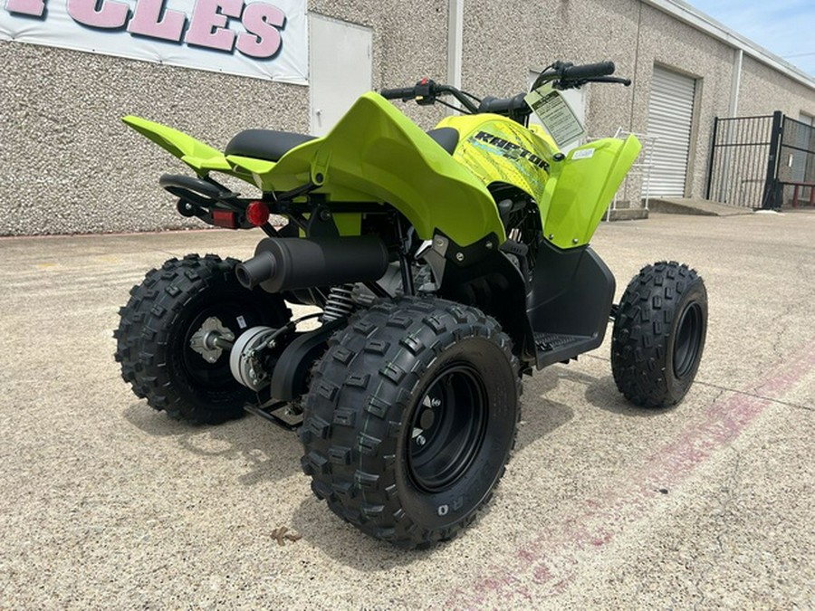 2026 Yamaha Raptor 110