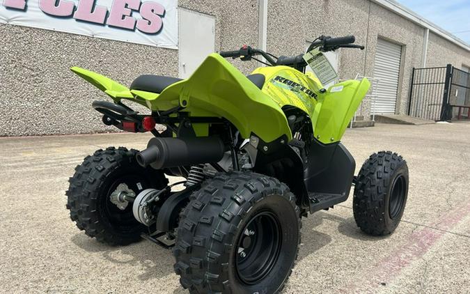 2026 Yamaha Raptor 110
