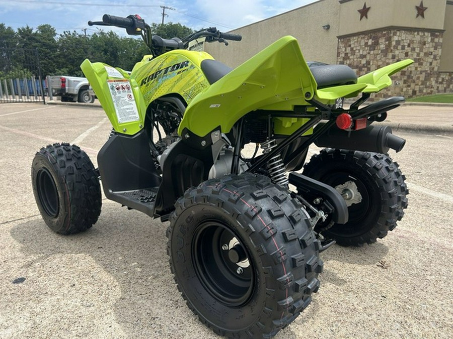 2026 Yamaha Raptor 110