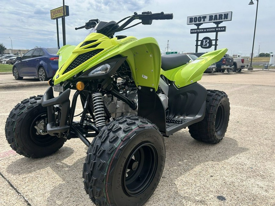 2026 Yamaha Raptor 110