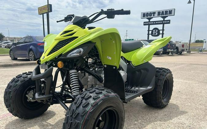 2026 Yamaha Raptor 110
