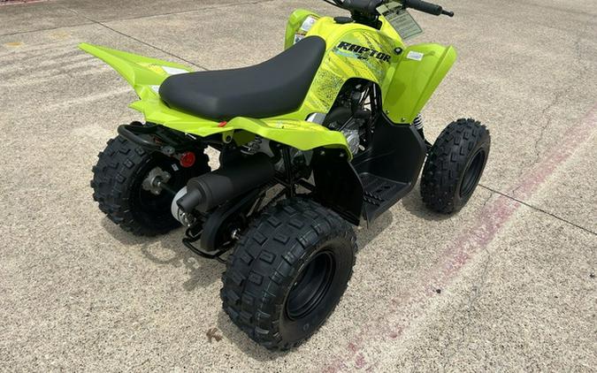2026 Yamaha Raptor 110