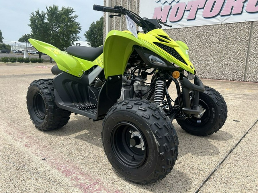 2026 Yamaha Raptor 110