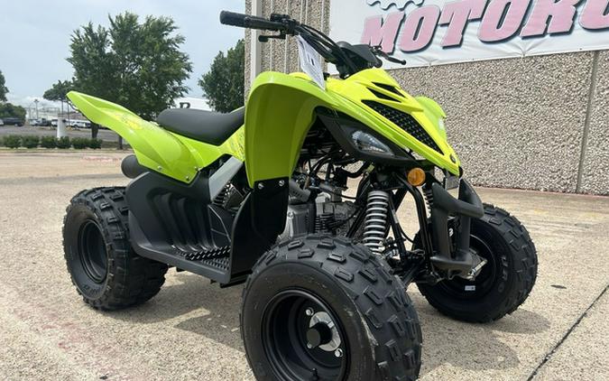 2026 Yamaha Raptor 110