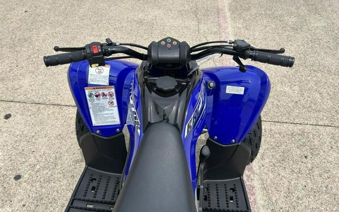 2026 Yamaha Raptor 110