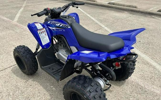 2026 Yamaha Raptor 110