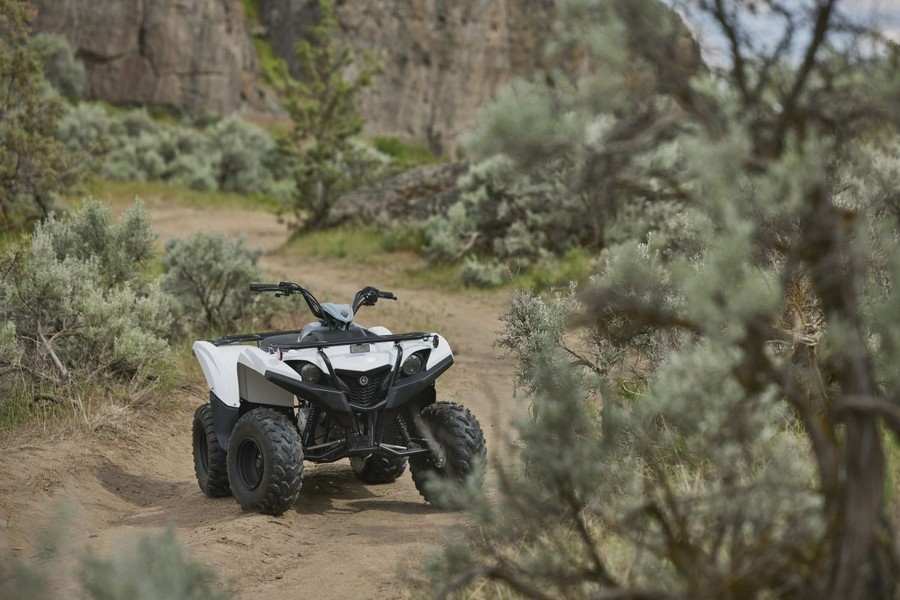 2024 Yamaha Grizzly 90