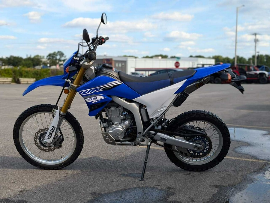 2019 Yamaha WR 250R