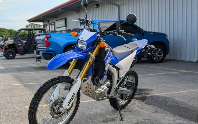 2019 Yamaha WR 250R