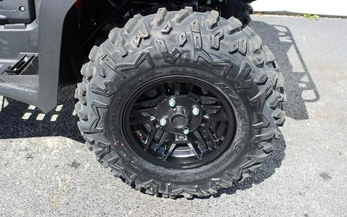 2025 Honda® FourTrax Rubicon 700 4x4 Automatic