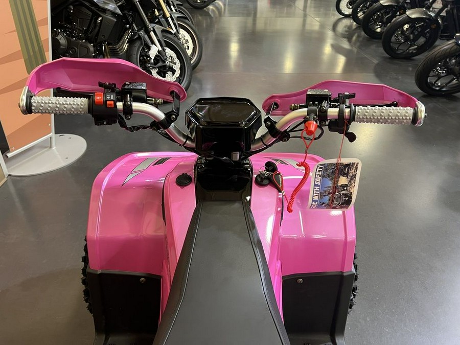 2026 Denago Powersports E-Hawk 6