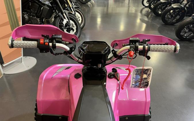 2026 Denago Powersports E-Hawk 6