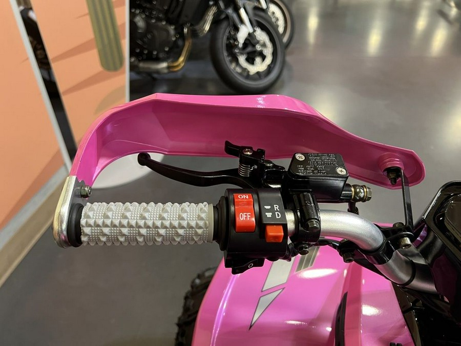 2026 Denago Powersports E-Hawk 6