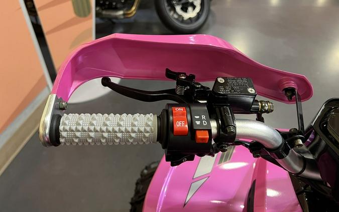 2026 Denago Powersports E-Hawk 6