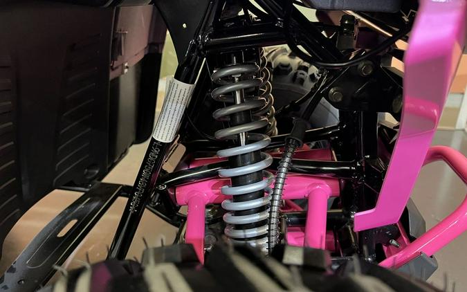 2026 Denago Powersports E-Hawk 6